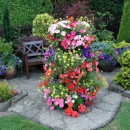 Выбираем неприхотливые и долгоцветущие цветы-многолетники для сада