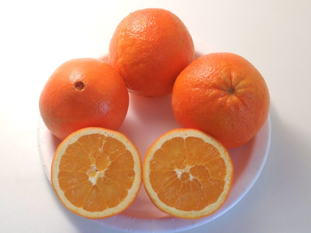 Выращивание апельсина дома