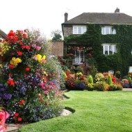 25 самых красивых декоративных кустарников для дачи и сада