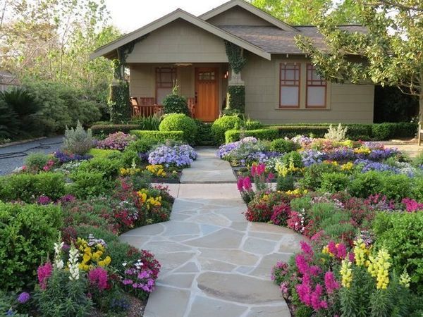 25 самых красивых декоративных кустарников для дачи и сада