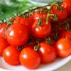 Как обрезать помидоры в открытом грунте: правила и сроки