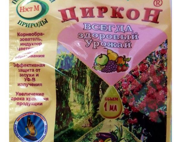 Как выбрать и применять стимуляторы роста для рассады томатов