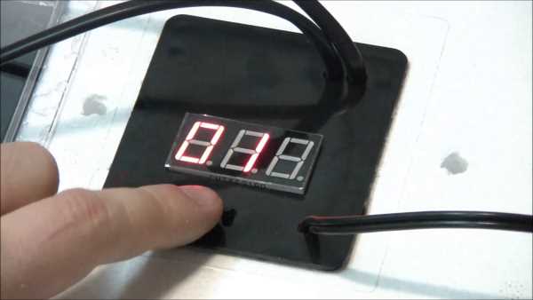 Как вывести гусят в инкубаторе в домашних условиях: видео