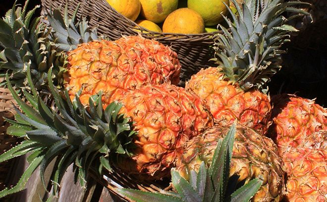 Какие витамины в ананасе, перечень полезных веществ содержащихся во фрукте