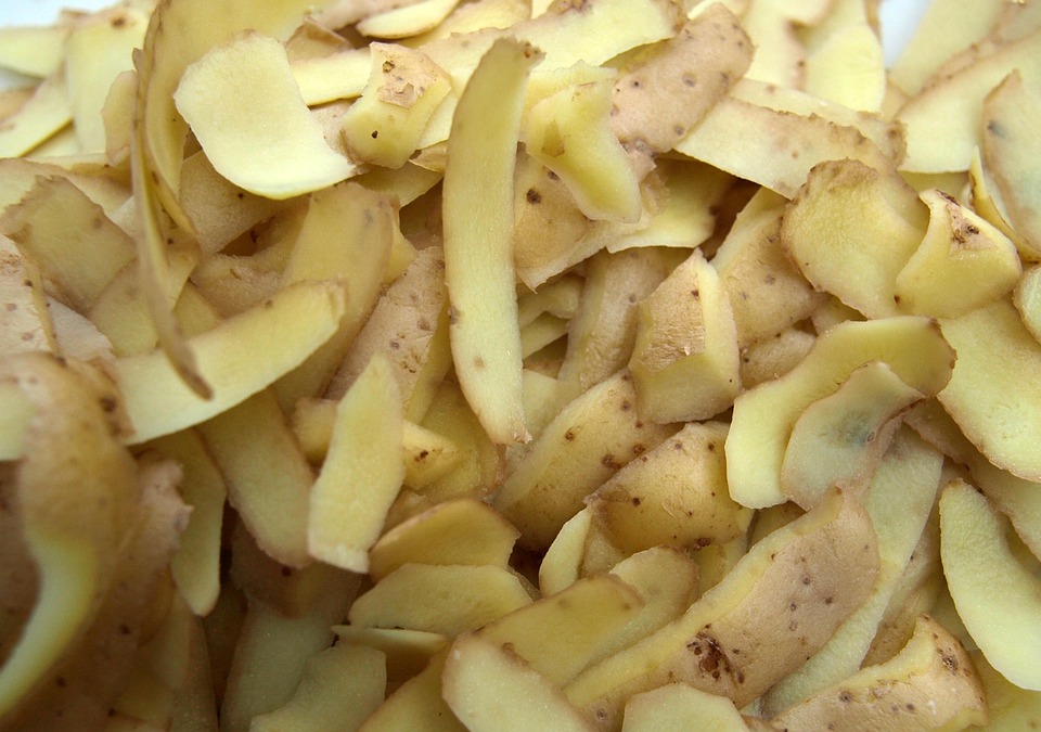 Картофельные очистки как удобрение для садовых культур