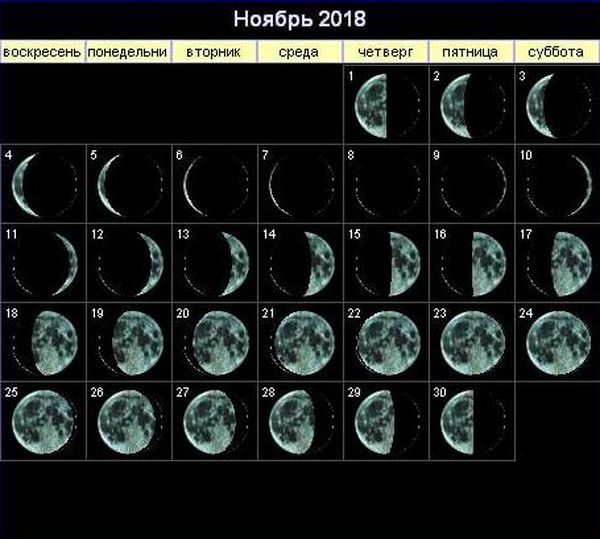 Лунный календарь садовода на ноябрь 2023 года: благоприятные дни.