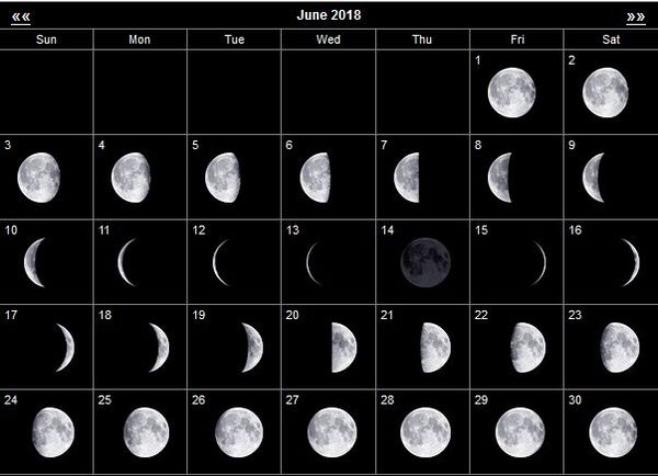 Лунный календарь садовода огородника на июнь 2023: работы летом
