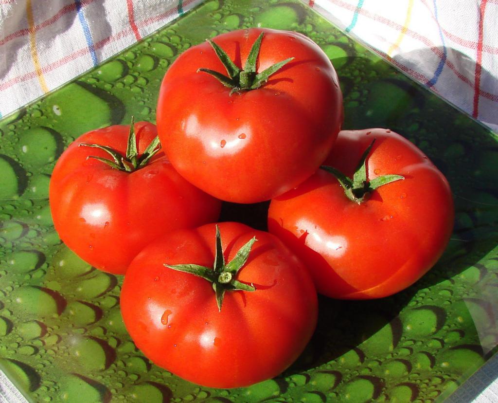 Низкорослые томаты: описание и особенности выращивания