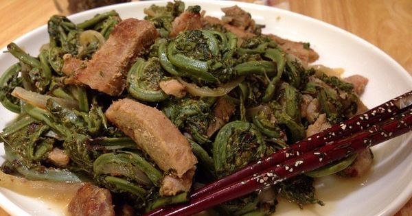 Папоротник с мясом: вкусные и полезные рецепты приготовления