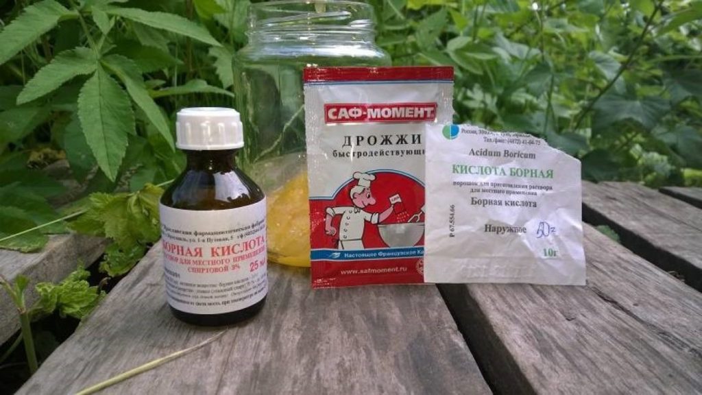 Уход за клубникой при плодоношении Уход за клубникой при плодоношении