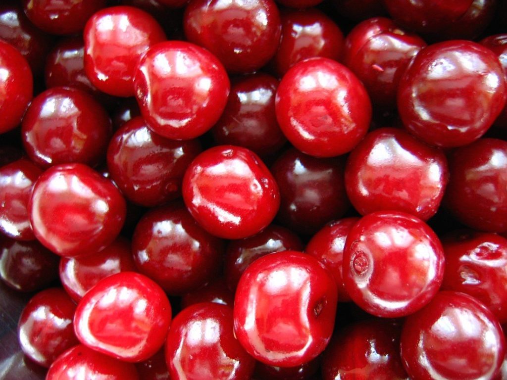 Вишня Харитоновская