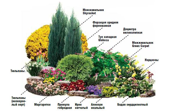 Выбор палитры и 6 лучших идей дизайна цветника