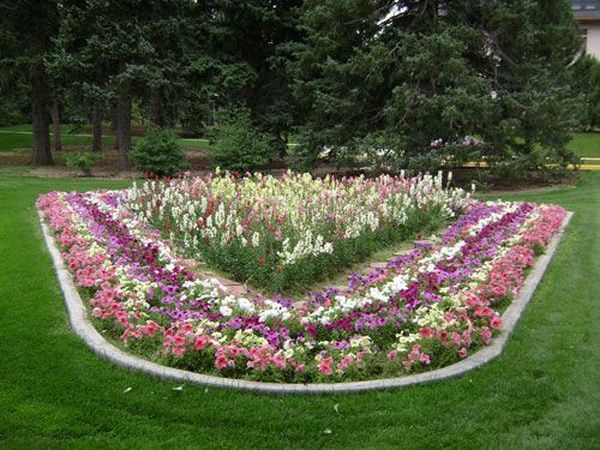 Выбор палитры и 6 лучших идей дизайна цветника