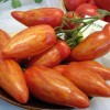 Как вырастить рекордный урожай перцевидных томатов