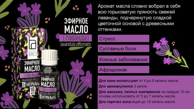Лаванда узколистная: описание и свойства, особенности применения, фото сортов + правила посадки, размножения и ухода