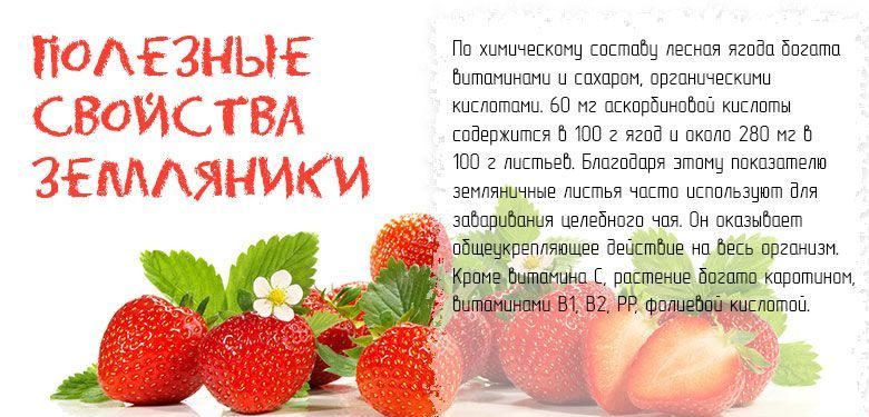 Лучшие ремонтантные сорта земляники