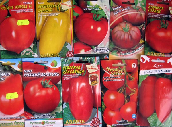 Лучшие семена томатов 2023 для теплиц и открытого грунта