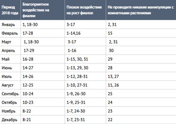 Лунный календарь фиалок 2019: благоприятные дни для пересадки, полива и ухода за цветами