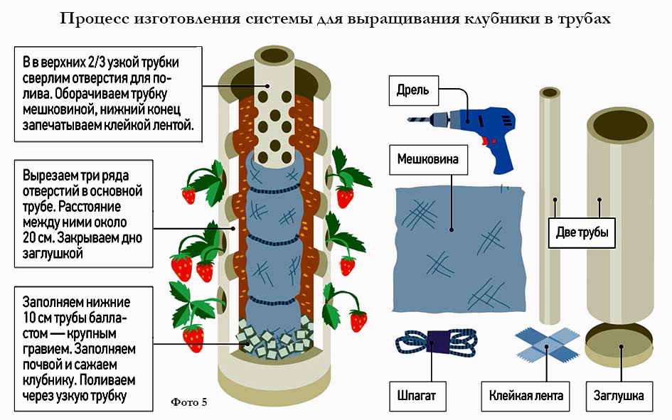 Система капельного полива для клубники схема