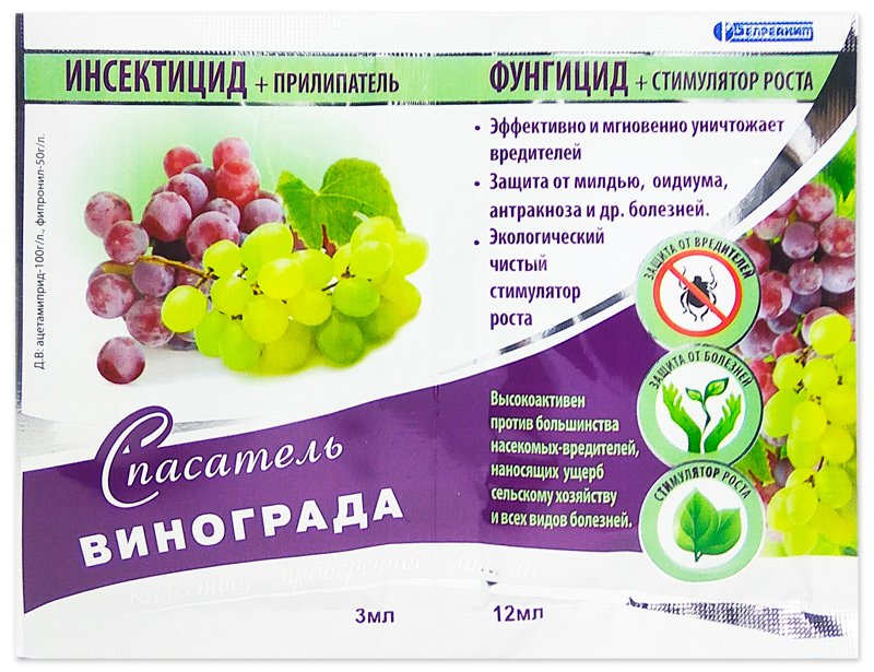 Защита винограда от болезней и вредителей схема защиты