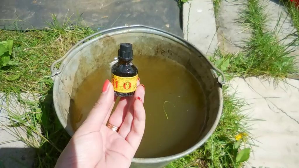 Борная кислота для клубники