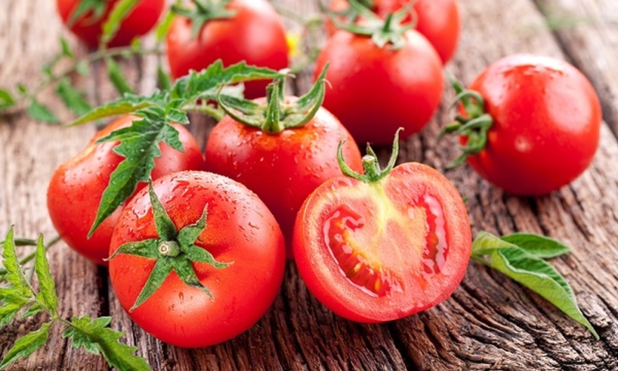 Как собрать семена томатов в домашних условиях