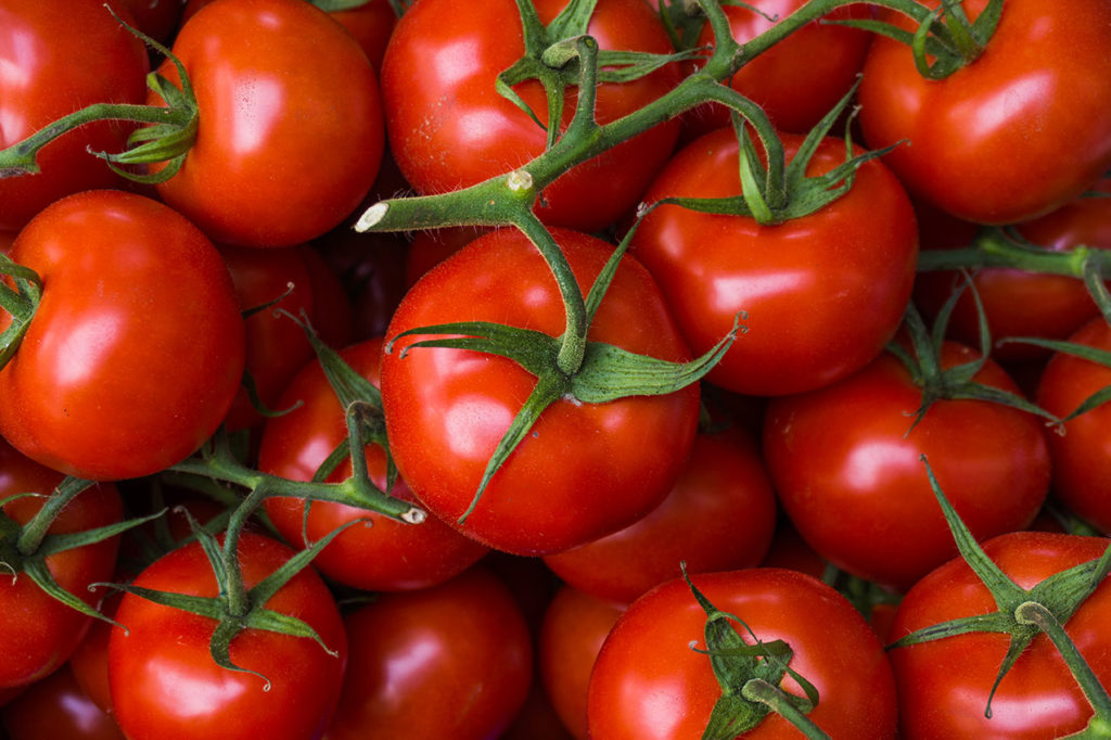 Как собрать семена томатов в домашних условиях