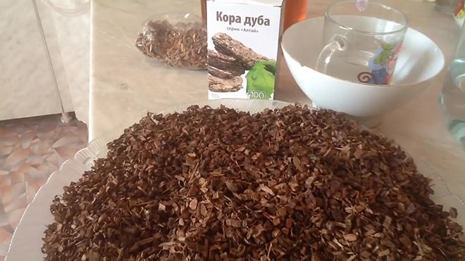 Кора дуба: лечебные свойства и противопоказания, при воспалении горла, для зубов, при аденоидах у детей
