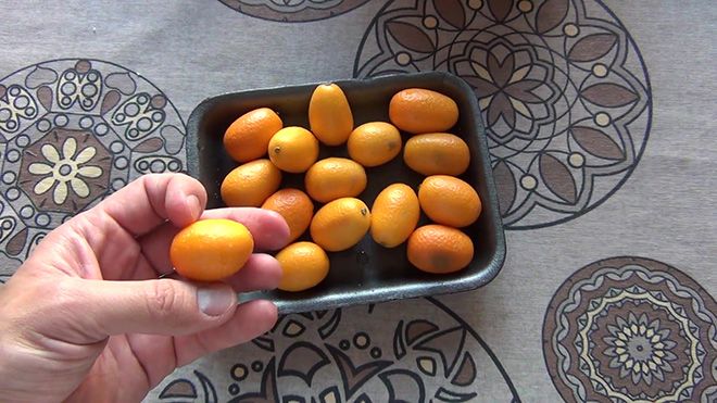 Мандарины на диете, можно или нет, отзывы о недельных диетах на основе цитрусового