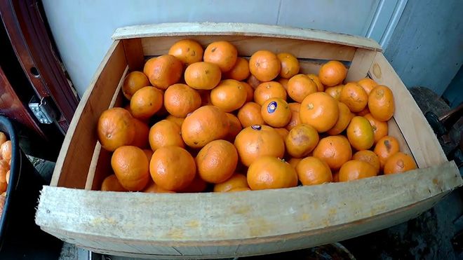Мандарины при панкреатите, можно или нет употреблять фрукт при болезнях поджелудочной железы