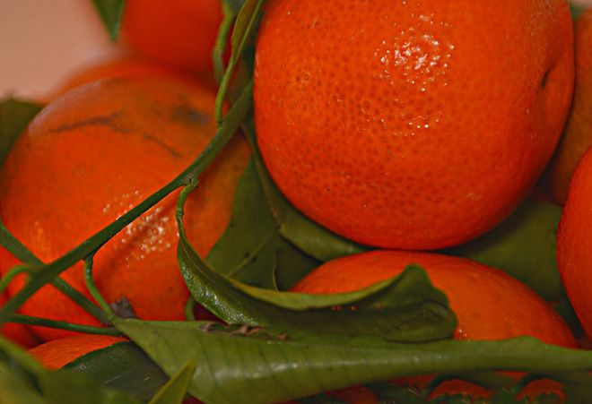 Мандарины при панкреатите, можно или нет употреблять фрукт при болезнях поджелудочной железы