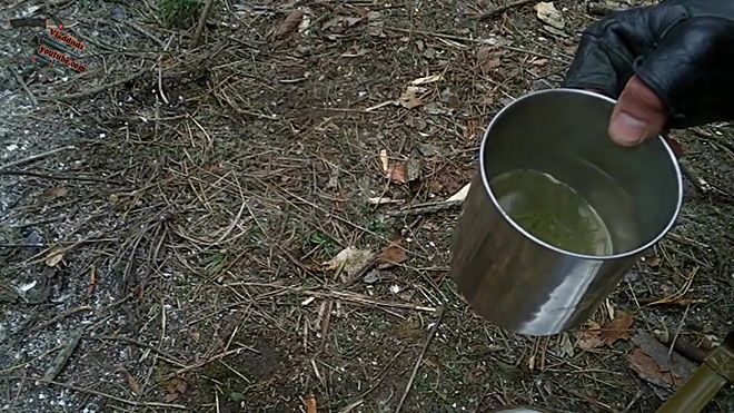 Отвар из хвои сосны: польза и вред, способы заваривания из зеленых и красных шишек