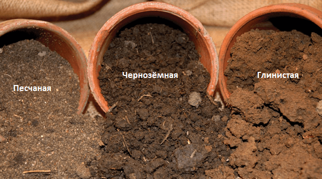 Почва для клубники и схемы формирования грядок