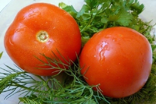 Ранние сорта томатов для открытого грунта и теплицы