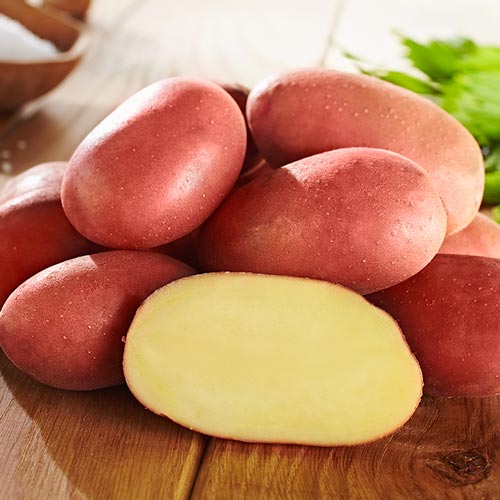 Сорт картофеля Альвара: фото и описание