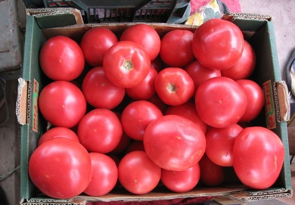 Сорт томатов Розовый спам F1: фото, описание, уход