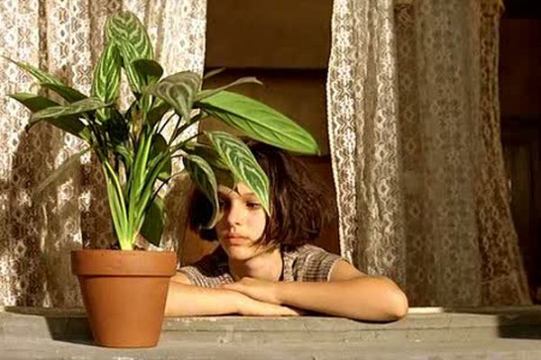 Уход за комнатными растениями в домашних условиях