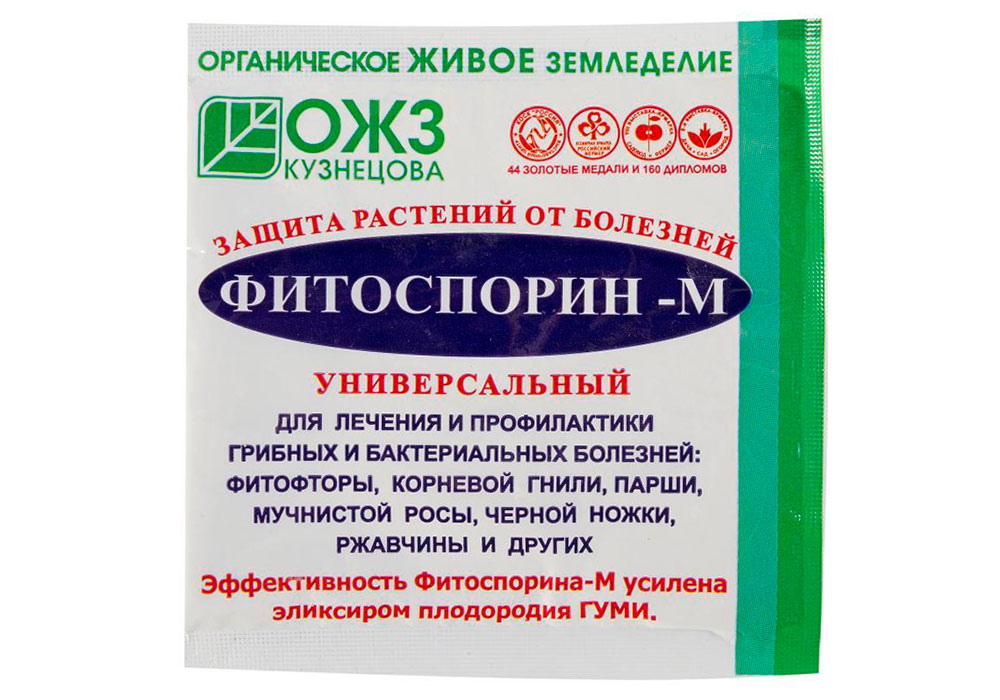 Выращивание мушмулы из косточки в домашних условиях + описание и свойства растения, польза и вред употребления
