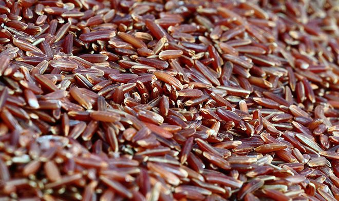 Бурый рис: польза и вред, гликемический индекс, БЖУ, чем отличается от белого
