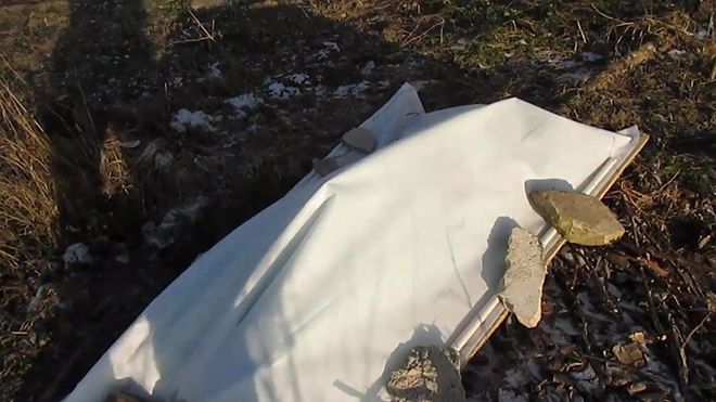 Как укрыть ежевику на зиму: в Поволжье, в Ростовской области и других регионах