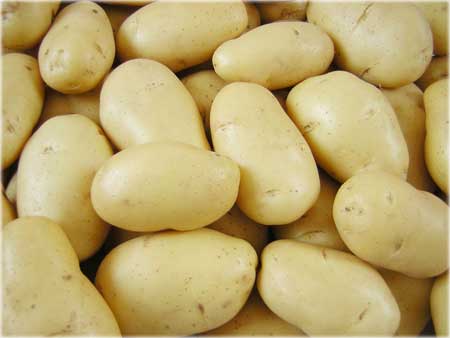 Сорт картофеля Эстрелла: фото, характеристика, отзывы